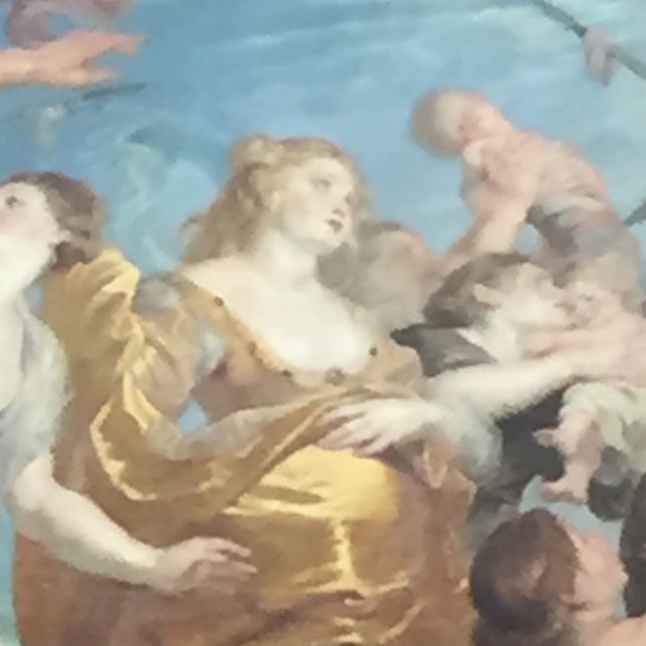 Meet your Posher, Anna - Picture 1 of 1